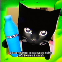 user's avatar