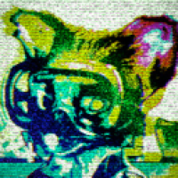 user's avatar