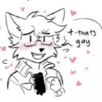 user's avatar