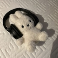 user's avatar