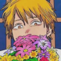user's avatar