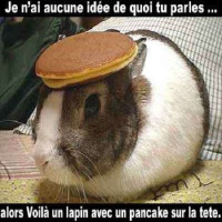 user's avatar