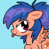 user's avatar
