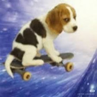 user's avatar