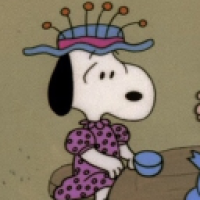 user's avatar