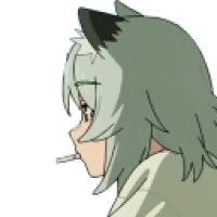 user's avatar