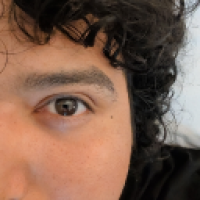 user's avatar