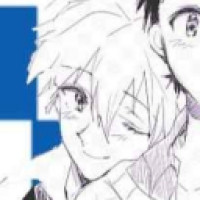 user's avatar