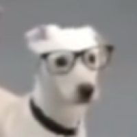 user's avatar