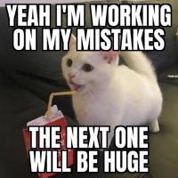 user's avatar