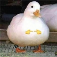 user's avatar
