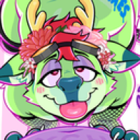 user's avatar