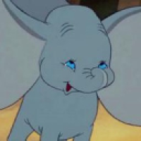 user's avatar