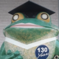 user's avatar