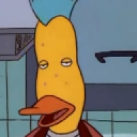 user's avatar