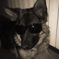 user's avatar