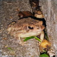 user's avatar