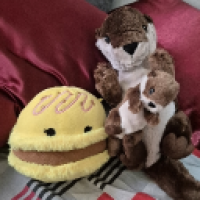 user's avatar