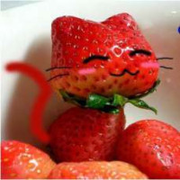 user's avatar