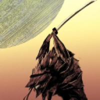 user's avatar
