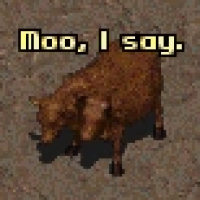 user's avatar