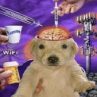 user's avatar