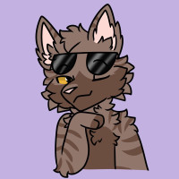 user's avatar