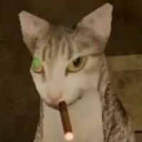 user's avatar
