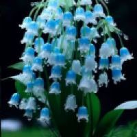 user's avatar