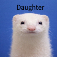 user's avatar