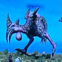 user's avatar