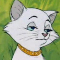 user's avatar