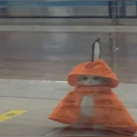 user's avatar