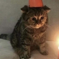 user's avatar