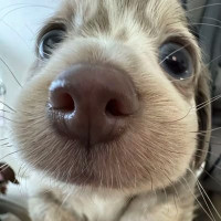 user's avatar