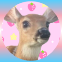 user's avatar