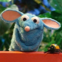 user's avatar