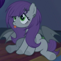 user's avatar