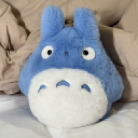 user's avatar