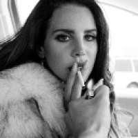 user's avatar