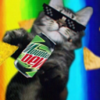 user's avatar