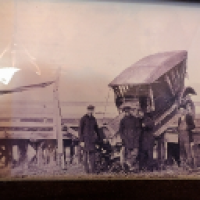 user's avatar