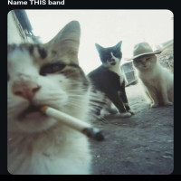user's avatar