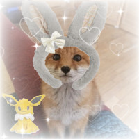 user's avatar