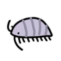 user's avatar