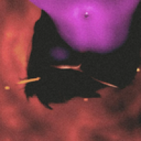 user's avatar