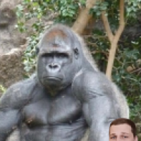 user's avatar