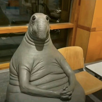 user's avatar