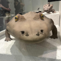user's avatar