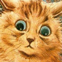 user's avatar